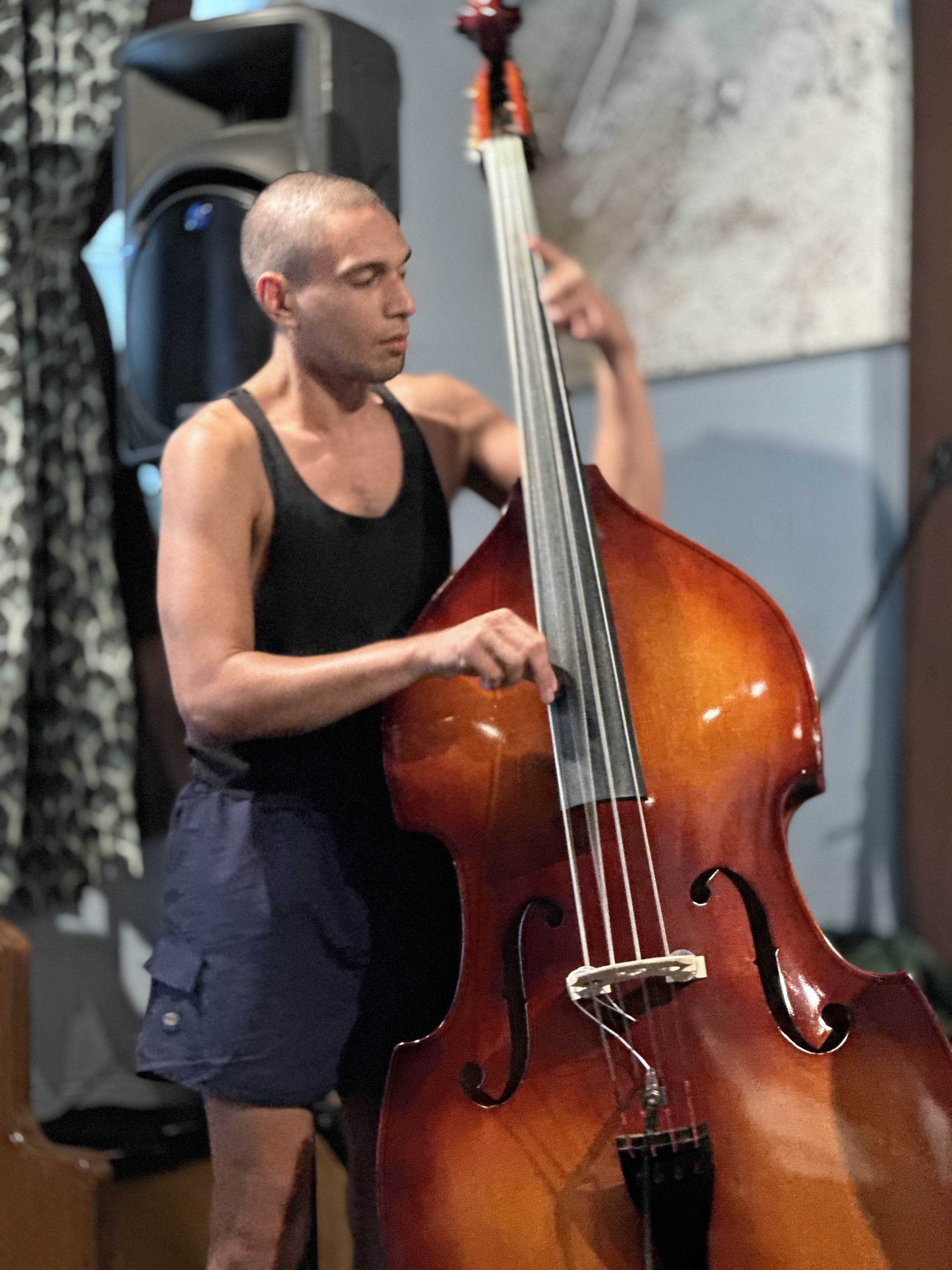 BarkCulture2025-08-12SugarMapleMilwaukeeWI (7).JPG